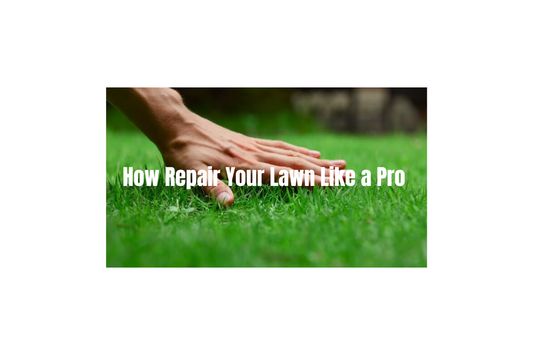 A hand touches a green lawn. The title is "How to Repair Your Lawn Like a Pro"