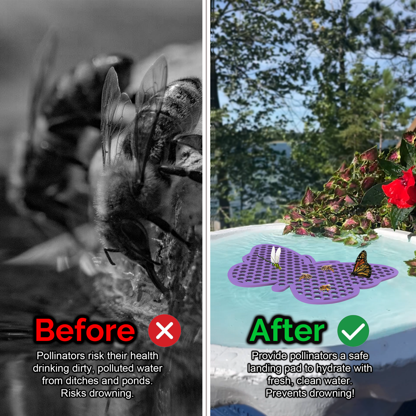 Graphic shows before and after one uses bee pontoon