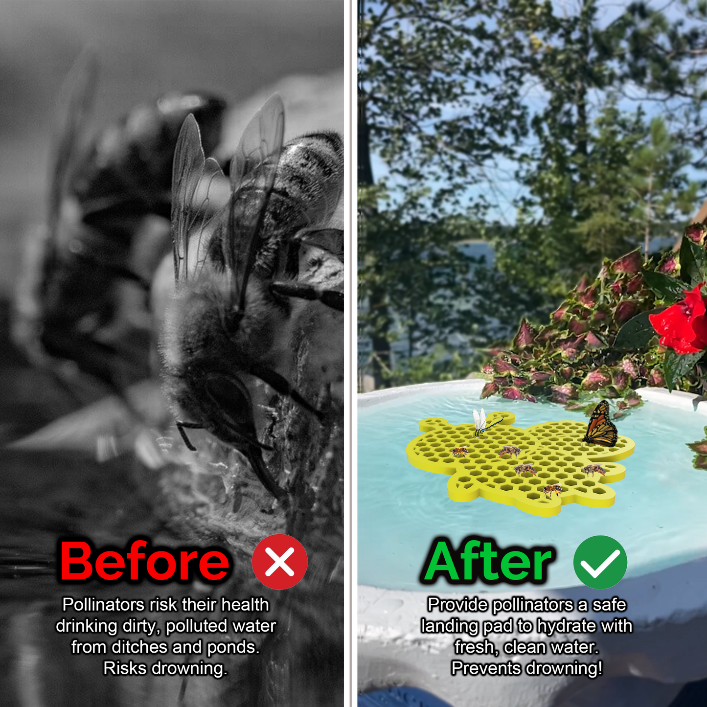 Graphic shows before and after bee pontoon` usage