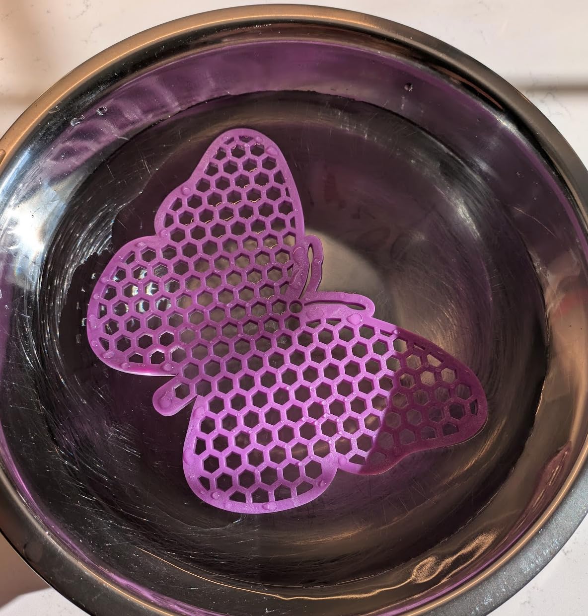butterfly bee pontoon in the water source - plate