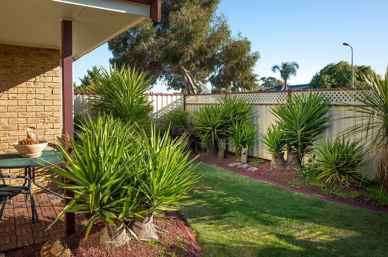 The Secret to a Lush Green Lawn: How Often to Mow for Optimal Growth - Trimyxs