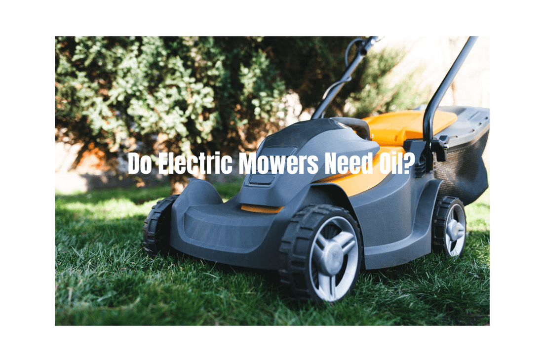 electric push mower on the green lawn and the title - Do Electric Mowers Need Oil