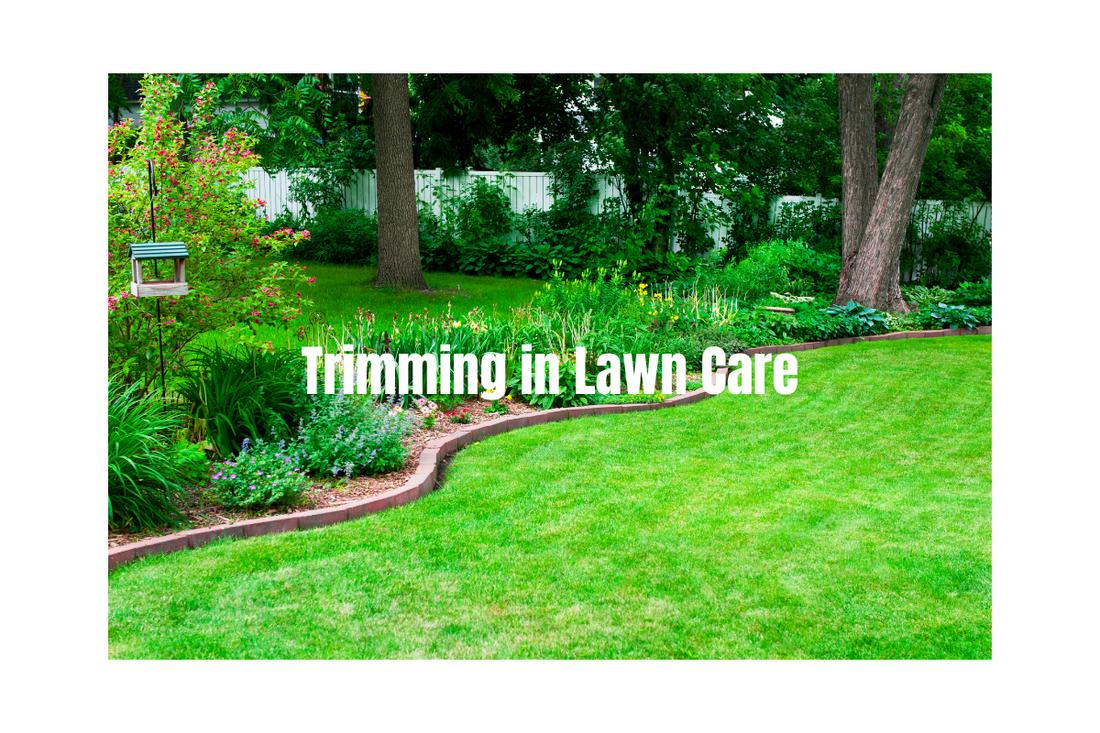 nice looking lawn titled "trimming in lawn care"