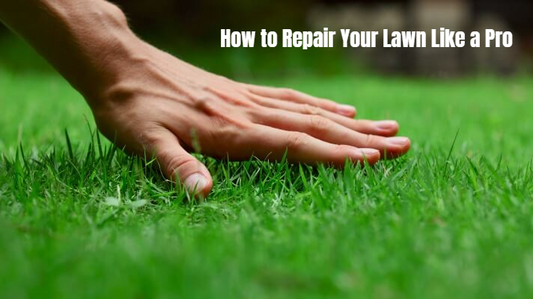 A hand touches a green lawn. The title is "How to Repair Your Lawn Like a Pro"