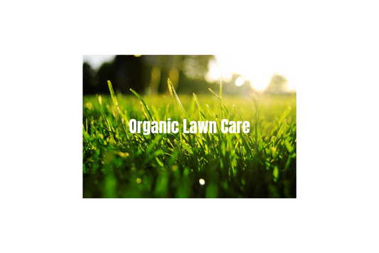 The Benefits of Organic Lawn Care: How to Nurture a Sustainable and Vibrant Yard