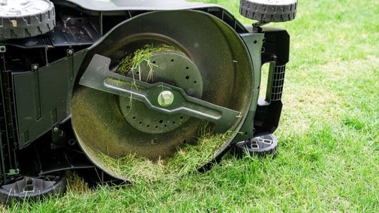 blade in lawn mower machine cut green grass